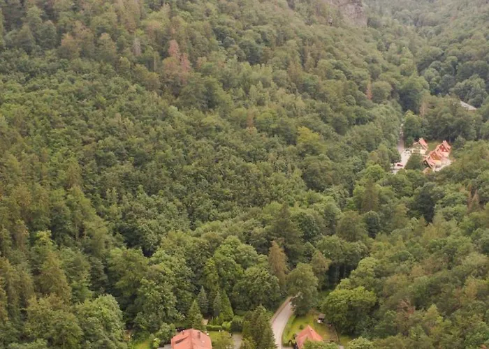Ferienhaeuser Am Brocken, 60 Qm 2 Schlafzimmer *